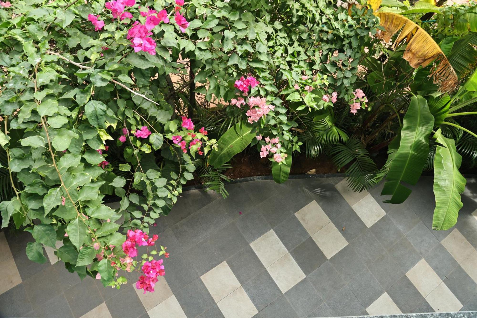 Fusion Home Anjuna Esterno foto